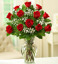 12 Premium Red Roses - You Choose Color Flower Power, Florist Davenport FL
